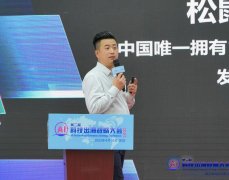 <b>取当地化内容、文化习惯和言语特点进行深度适</b>